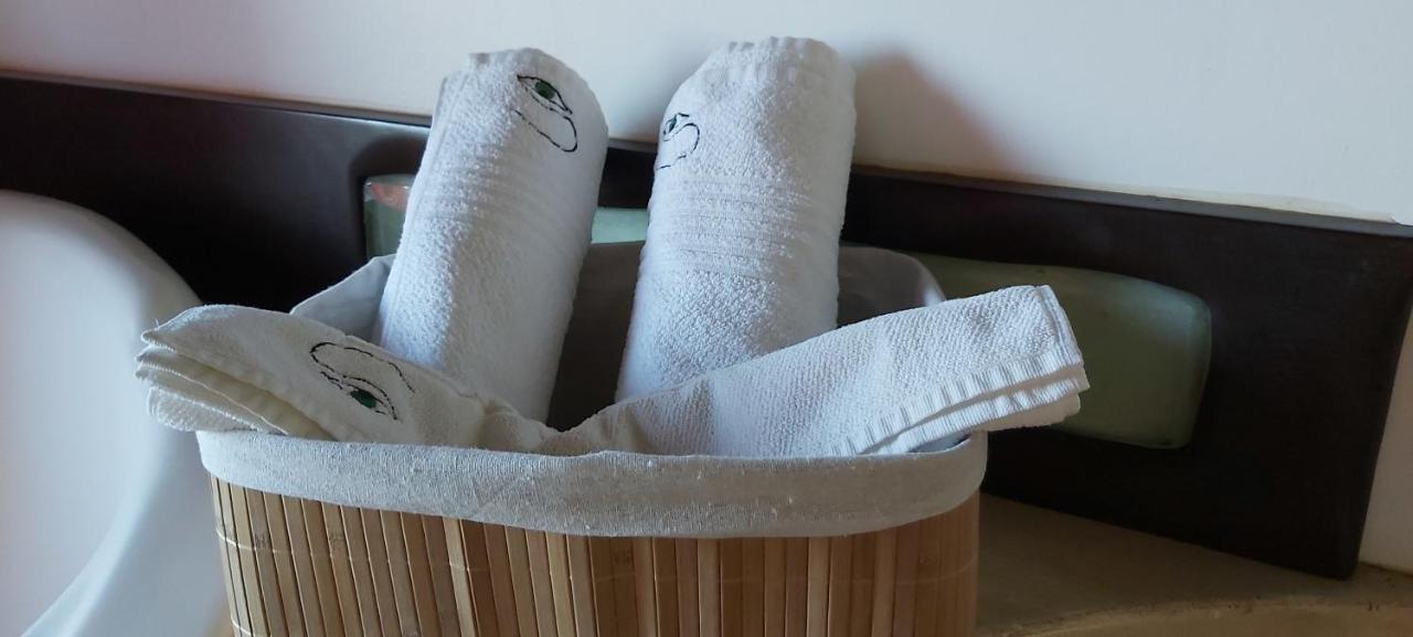 Olhos Verdes Guest House 봄비나스 외부 사진